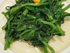 银杏高山豌豆尖-眉州东坡(民族园店)