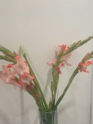 -海涛医疗美容·面部抗衰·注射美鼻