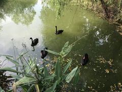 -长兴太湖图影湿地文化园