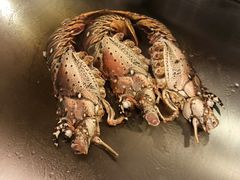 -丹鼎铁板料理(市政娱乐中心店)