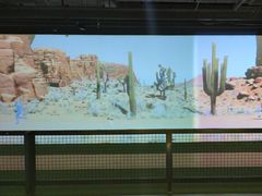 -VS SPORTS PARK运动玩乐园·团建·生日会(合生汇店)