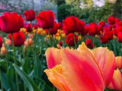 -国家植物园南园