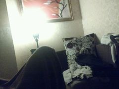 -北纬37°SPA养身会馆(湖西店)