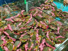 -都斛海鲜街