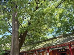 -少华山国家森林公园