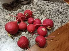-南京大牌档(苏州中心店)