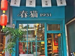 -猫咪博物馆(顶澳仔猫街店)