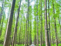 -上海怡沁园度假酒店