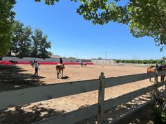 -北京群众马术培训基地