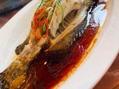 -喜来登由由大酒店九州膳坊中餐厅