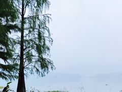-四明湖