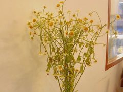 -Ten Olives甜点