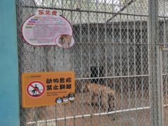 -西安秦岭野生动物园
