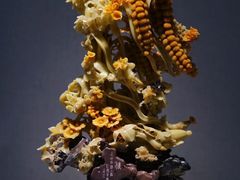 -青田石雕博物馆