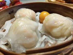 -点都德·毕德寮