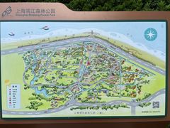 -上海滨江森林公园