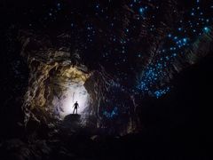 -怀托摩萤火虫洞