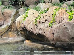 -上海海洋水族馆