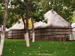 -九十九顶毡房(阜石路店)