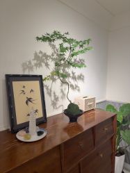 -Fancy梵汐·轻奢量肤定制
