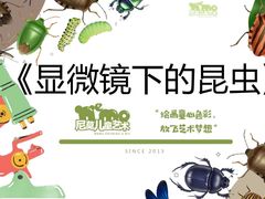 -尼莫儿童美术(三阳路融科天城校区)