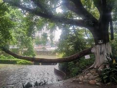 -成都市活水公园