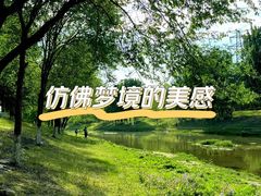 -东坝千亩湖公园