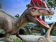 -国家自然博物馆