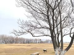 -盘龙城国家考古遗址公园