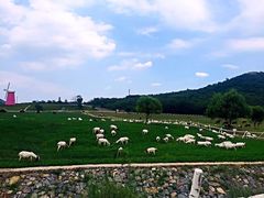 -大连铭湖国际观光牧场