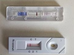 -瑞派福兴宠物医院犬猫全科·骨科·中西医结合(河东店)