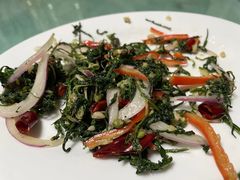 -煲来饱去冷水鱼