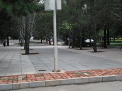 -中央民族大学