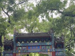 -北京国子监胡同