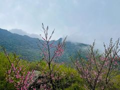 -秦岭终南山世界地质公园翠华山景区