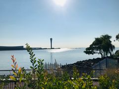 -上海吴淞炮台湾国家湿地公园