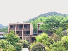 -看见远方·莫干遥远的山民宿