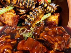 -VT101维多利广场