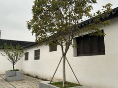 -青果巷历史文化街区