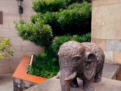 -广州神农草堂中医药博物馆