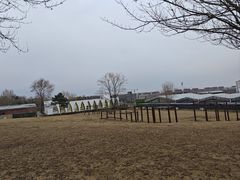 -莫子山公园