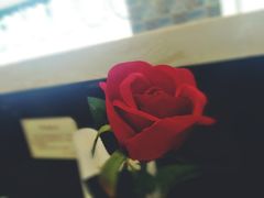 -北京汉斯特自助烤肉(临朐店)