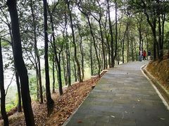 -羚羊峡古栈道森林公园