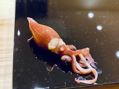 Squid-鮨青(恒基名人购物中心店)