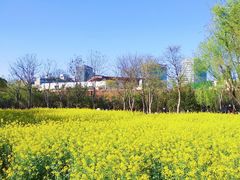 -大宁公园