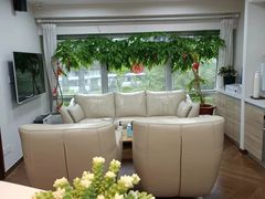 -精德口腔·种植修复·儿牙中心(财富中心店)