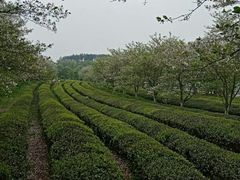 -凤凰沟景区
