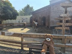 -HERRE·FARM 赫尔露营农场·团建聚会包场