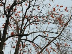 -国家图书馆·古籍馆
