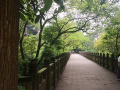 -南山植物园